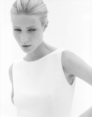 Gwynet Paltrow pic #46971