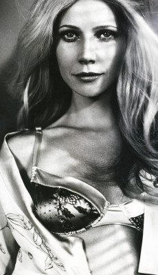 Gwynet Paltrow pic #105338
