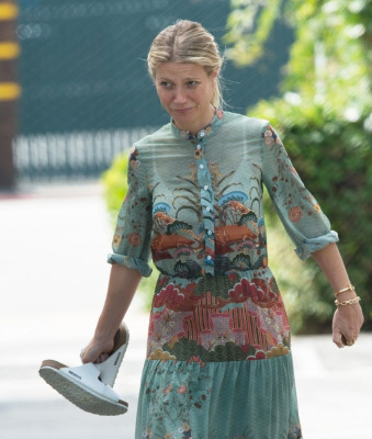 Gwyneth Paltrow pic #948982