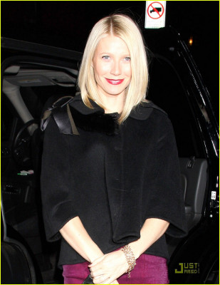 Gwynet Paltrow pic #136435