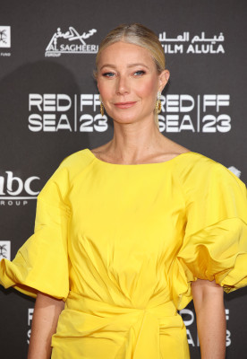 photo 25 in Paltrow gallery [id1340644] 2024-01-11 00:00:00