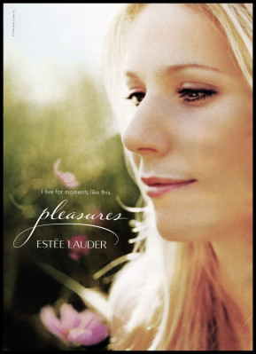 Gwynet Paltrow pic #70180