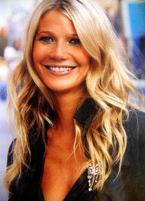 Gwynet Paltrow pic #20869