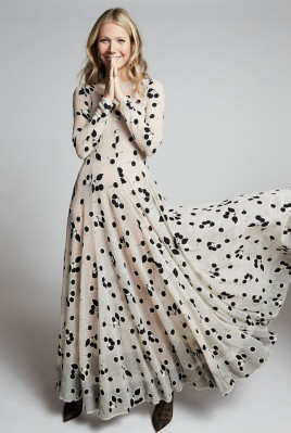 Gwyneth Paltrow pic #1100219