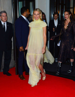 Gwyneth Paltrow pic #1131678