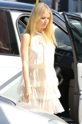 Gwyneth Paltrow pic #812482