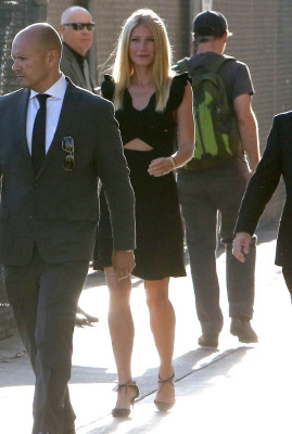 Gwyneth Paltrow pic #727711
