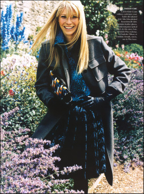 Gwynet Paltrow pic #12163