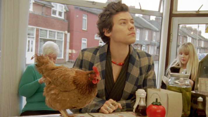 photo 24 in Harry Styles gallery [id1054043] 2018-07-30 00:00:00