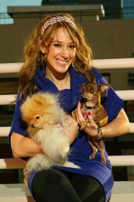 Haylie Duff pic #232622