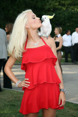 Holly Madison pic #215777