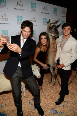 photo 9 in Ian Somerhalder gallery [id804792] 2015-10-20 00:00:00