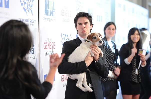 Ian Sommerhalder pic #495357