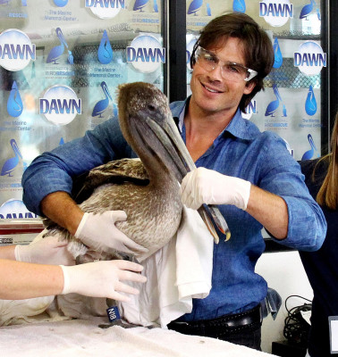 photo 4 in Ian Somerhalder gallery [id804800] 2015-10-20 00:00:00