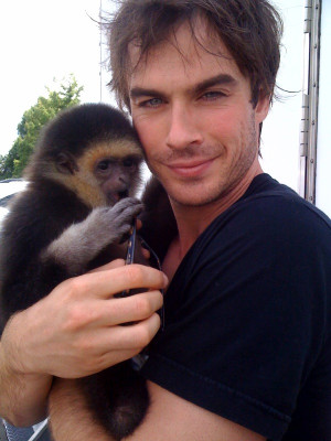 photo 23 in Ian Sommerhalder gallery [id198284] 2009-11-10 00:00:00