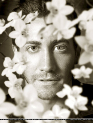 photo 7 in Gyllenhaal gallery [id56485] -0001-11-30 00:00:00