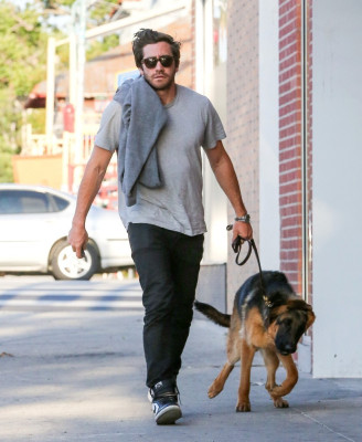 photo 17 in Jake Gyllenhaal gallery [id770540] 2015-04-27 00:00:00