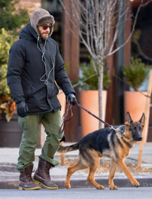 photo 23 in Jake Gyllenhaal gallery [id752950] 2015-01-14 00:00:00