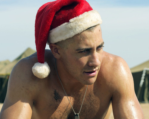 Jake Gyllenhaal pic #260334