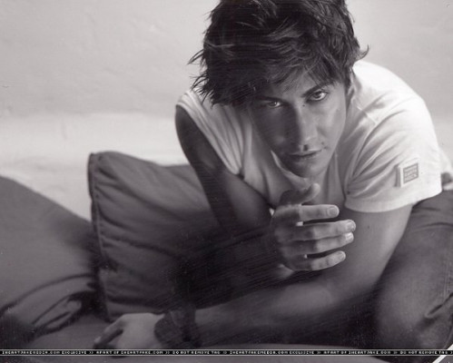 Jake Gyllenhaal pic #261944