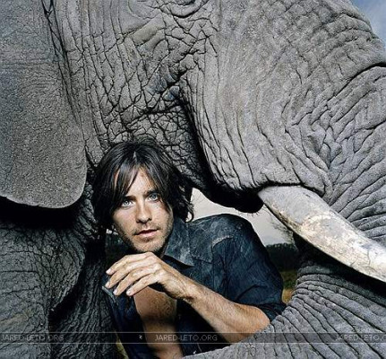 Jared Leto pic #42807