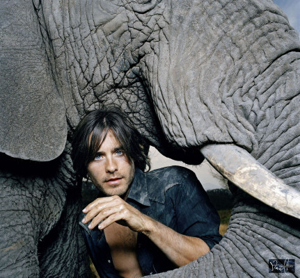 photo 5 in Leto gallery [id1235721] 2020-10-09 00:00:00