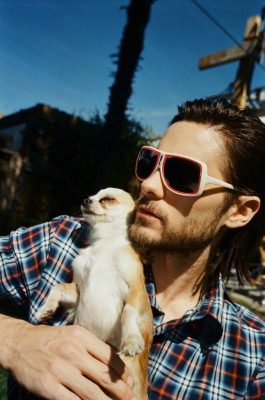 Jared Leto pic #1271347