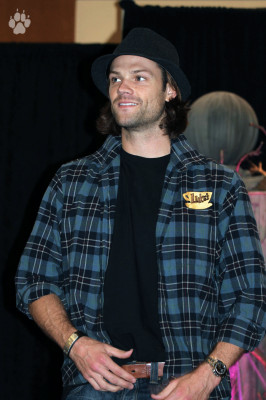 Jared Padalecki pic #662564