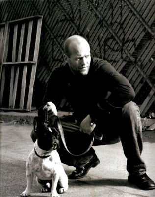 photo 23 in Jason Statham gallery [id127782] 2009-01-16 00:00:00