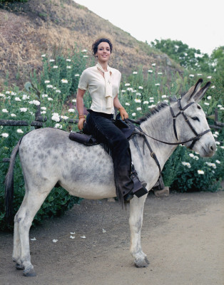 Jennifer Beals pic #635442