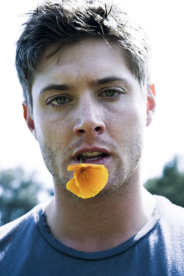 Jensen Ackles pic #251192