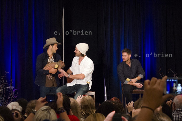 Jensen Ackles pic #639134