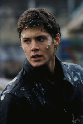 photo 17 in Jensen Ackles gallery [id573312] 2013-02-09 00:00:00