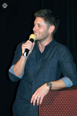 photo 19 in Jensen Ackles gallery [id639130] 2013-10-18 00:00:00