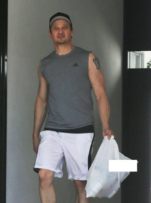 Jeremy Renner pic #689494