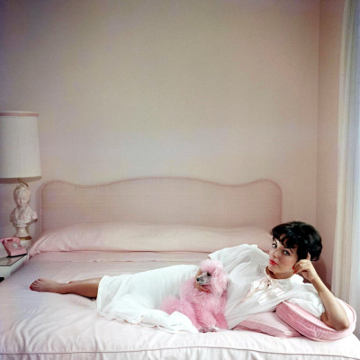 photo 20 in Joan Collins gallery [id186625] 2009-10-02 00:00:00