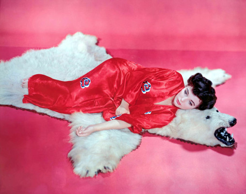 photo 7 in Joan Collins gallery [id375566] 2011-05-05 00:00:00