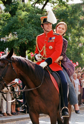 Julia Stiles pic #23572