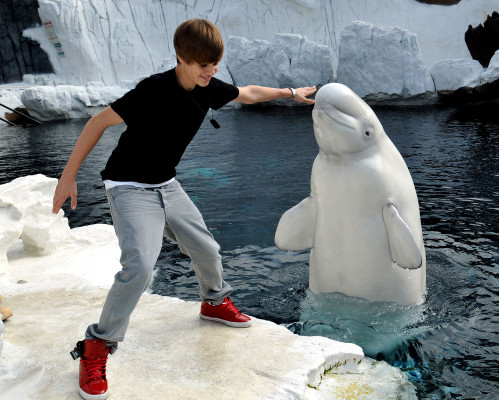 Justin Bieber pic #258602
