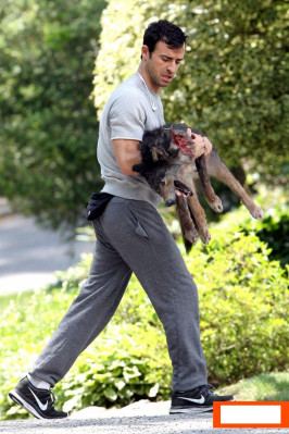 photo 11 in Justin Theroux gallery [id616379] 2013-07-07 00:00:00