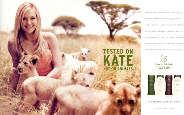 Kate Hudson pic #212745