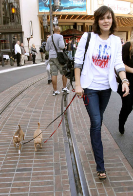 photo 26 in Katharine McPhee gallery [id328780] 2011-01-18 00:00:00