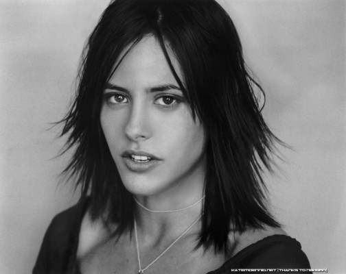 photo 8 in Moennig gallery [id460317] 2012-03-14 00:00:00