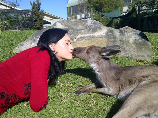 Katy Perry pic #408293