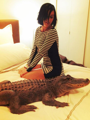 Katy Perry pic #542407