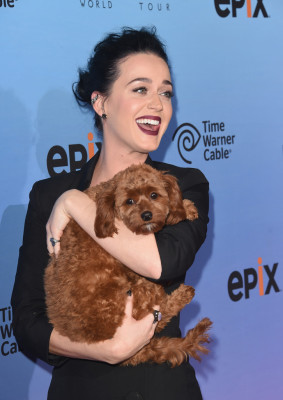 Katy Perry pic #766993