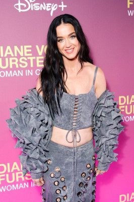 Katy Perry pic #1355179