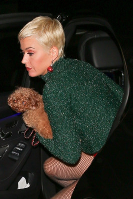 Katy Perry pic #1088611
