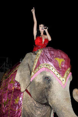 Katy Perry pic #406717