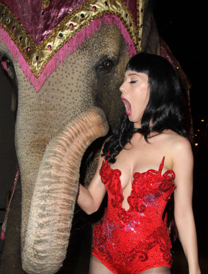 Katy Perry pic #406715